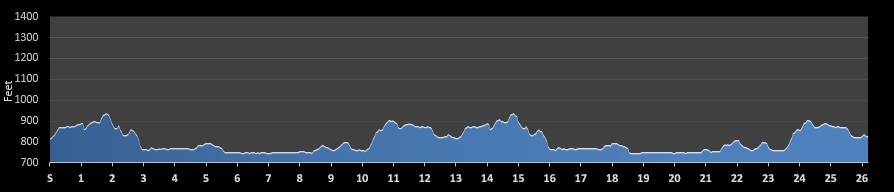 Ann Arbor Marathon Elevation Profile